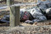 ./cadetlife_pl/firstie_cl/sandhurst09_nelson/thumbnails/BarbedWire-2..jpg