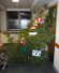 ./cadetlife_pl/yearling_cl/holidaydinner_sutey/thumbnails/P1000919.jpg
