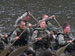 ./cadetlife_pl/yearling_cl/sandhurst_f4_2/thumbnails/100_1731.jpg