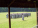 ./cow/cowsummer/aa_goodwill/thumbnails/100_0111.jpg