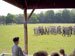 ./cow/cowsummer/aa_goodwill/thumbnails/100_0121.jpg
