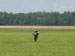 ./cow/cowsummer/aa_johnson/thumbnails/IMG_0139.jpg
