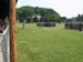 ./cow/cowsummer/aa_madden/thumbnails/IMG_1074.jpg