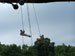 ./cow/cowsummer/aa_roderick/thumbnails/100_0493.jpg