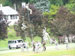 ./cow/cowsummer/aa_roderick/thumbnails/100_0497.jpg