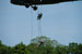 ./cow/cowsummer/aa_steenstra/thumbnails/DSC_0280.jpg