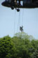 ./cow/cowsummer/aa_steenstra/thumbnails/DSC_0281.jpg