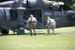 ./cow/cowsummer/aa_steenstra/thumbnails/DSC_0290.jpg