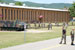 ./cow/cowsummer/aa_steenstra/thumbnails/DSC_0295.jpg