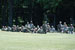 ./cow/cowsummer/aa_steenstra/thumbnails/DSC_0309.jpg
