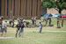 ./cow/cowsummer/aa_steenstra/thumbnails/DSC_0338.jpg