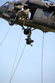 ./cow/cowsummer/aa_steenstra/thumbnails/DSC_0391.jpg