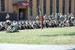 ./cow/cowsummer/aa_steenstra/thumbnails/DSC_0395.jpg