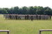 ./cow/cowsummer/aa_steenstra/thumbnails/DSC_0432.jpg