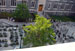 ./cow/cowsummer/airassaultreport/thumbnails/P1000561.jpg