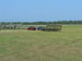 ./cow/cowsummer/airborne_ashton/thumbnails/P1040027-(2).jpg