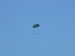 ./cow/cowsummer/airborne_ashton/thumbnails/P1040054-(2).jpg