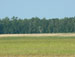./cow/cowsummer/airborne_ashton/thumbnails/P1040056-(2).jpg