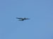 ./cow/cowsummer/airborne_ashton/thumbnails/P1040058-(2).jpg