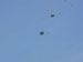 ./cow/cowsummer/airborne_ashton/thumbnails/P1040059-(2).jpg
