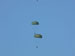 ./cow/cowsummer/airborne_ashton/thumbnails/P1040066-(2).jpg