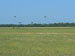 ./cow/cowsummer/airborne_ashton/thumbnails/P1040070-(2).jpg