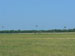 ./cow/cowsummer/airborne_ashton/thumbnails/P1040071-(2).jpg