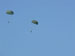 ./cow/cowsummer/airborne_ashton/thumbnails/P1040085.jpg