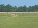 ./cow/cowsummer/airborne_ashton/thumbnails/P1040096.jpg