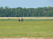 ./cow/cowsummer/airborne_ashton/thumbnails/P1040097-(2).jpg