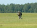./cow/cowsummer/airborne_ashton/thumbnails/P1040099-(2).jpg