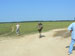 ./cow/cowsummer/airborne_ashton/thumbnails/P1040108.jpg