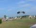 ./cow/cowsummer/airborne_ashton/thumbnails/P1040199-(2).jpg