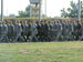 ./cow/cowsummer/airborne_ashton/thumbnails/P1040206-(2).jpg