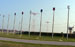./cow/cowsummer/airborne_holm/thumbnails/DSCN0533.jpg