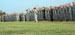 ./cow/cowsummer/airborne_holm/thumbnails/DSCN0553.jpg
