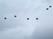 ./cow/cowsummer/airborne_tax/thumbnails/Airborne-School-022.jpg