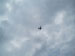 ./cow/cowsummer/airborne_tax/thumbnails/Airborne-School-039.jpg