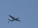 ./cow/cowsummer/airborne_tax/thumbnails/Parents-Club-Badges-051.jpg