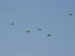./cow/cowsummer/airborne_tax/thumbnails/Parents-Club-Badges-064.jpg