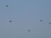 ./cow/cowsummer/airborne_tax/thumbnails/Parents-Club-Badges-066.jpg