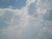 ./cow/cowsummer/airborne_tax/thumbnails/Parents-Club-Badges-110.jpg