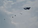 ./cow/cowsummer/airborne_tax/thumbnails/Parents-Club-Badges-113.jpg