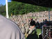 ./cow/cowsummer/beast_f1/thumbnails/IMG_1151.jpg
