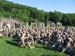 ./cow/cowsummer/beast_f1/thumbnails/IMG_1154.jpg