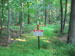 ./cow/cowsummer/beast_f1/thumbnails/IMG_1212.jpg