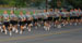 ./cow/cowsummer/beast_pt/thumbnails/IMG_0038c3.jpg
