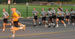 ./cow/cowsummer/beast_pt/thumbnails/IMG_0040c2.jpg