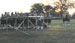 ./cow/cowsummer/beast_pt/thumbnails/IMG_1456.jpg