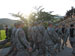 ./cow/cowsummer/cbt_july4/thumbnails/IMG_0040.jpg